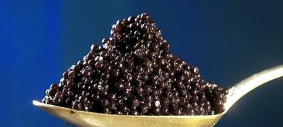 Caviar de pastrav