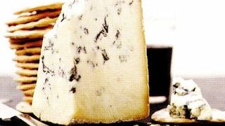 stilton